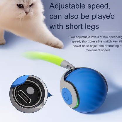 Pouncy ™ - Speedytail 2.0