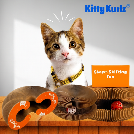 Pouncy - KittyKurlz