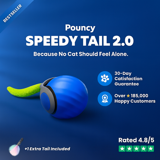 Pouncy ™ - Speedytail 2.0