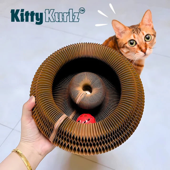 Pouncy - KittyKurlz