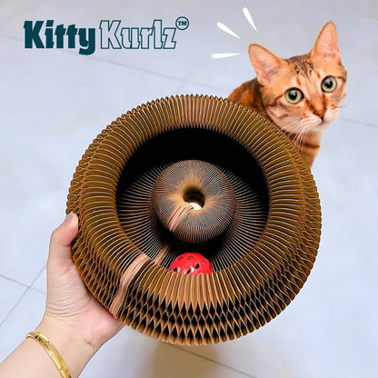 Pouncy - KittyKurlz