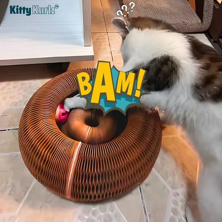 Pouncy - KittyKurlz