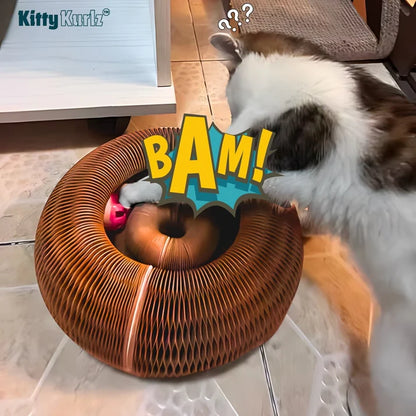 Pouncy - KittyKurlz