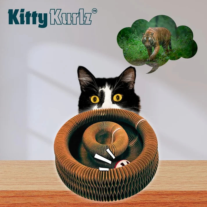 Pouncy - KittyKurlz