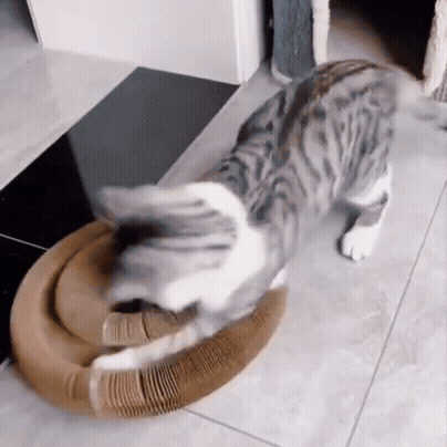 Pouncy - KittyKurlz